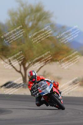 media/Nov-05-2022-SoCal Trackdays (Sat) [[f8d9b725ab]]/Turn 4 Tree of Life (125pm)/